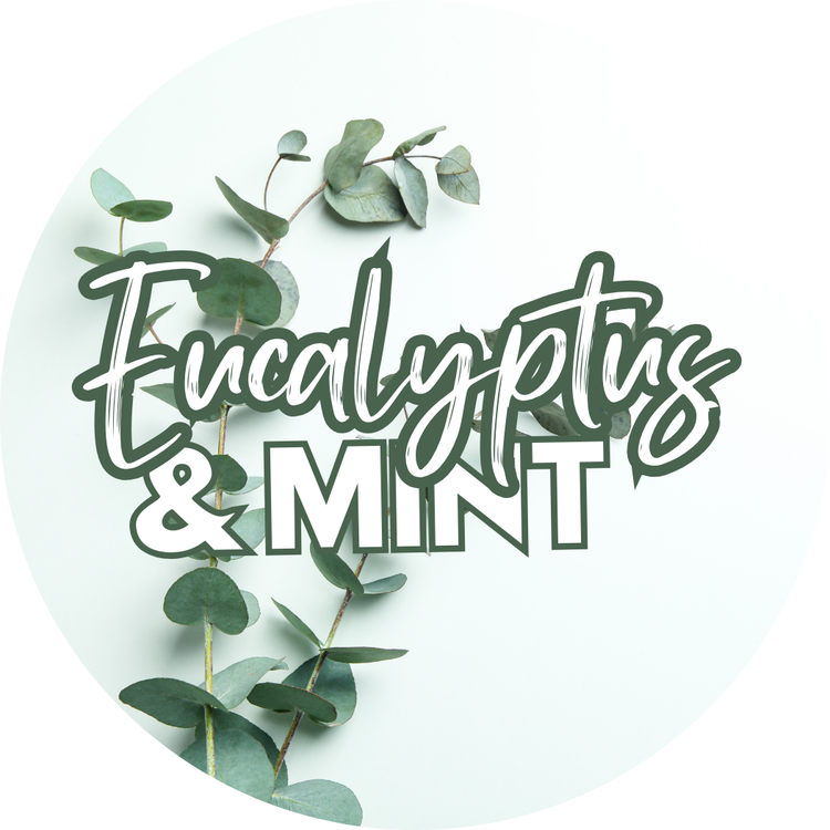 Eucalyptus & Mint Body Icing Sugar Scrub