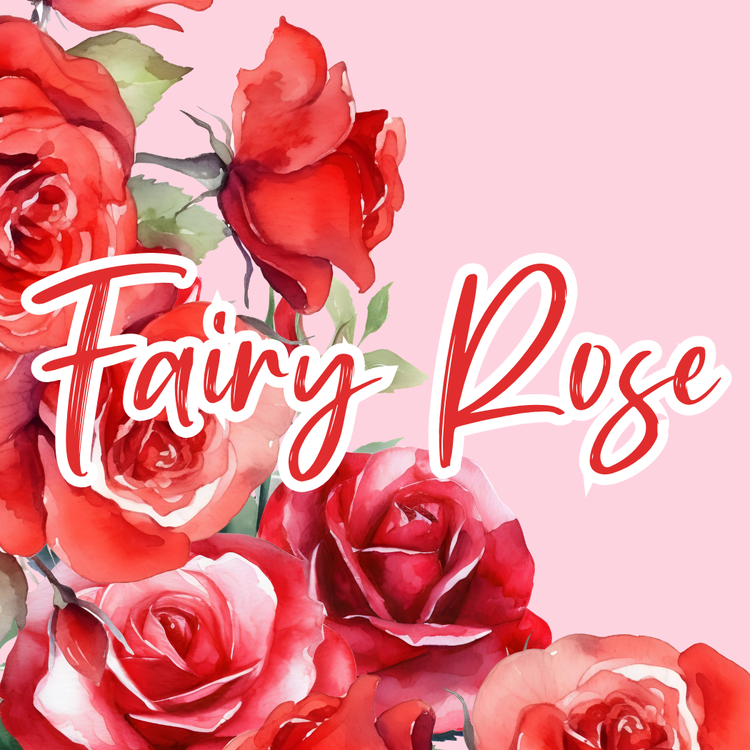 Fairy Rose Body Icing Sugar Scrub