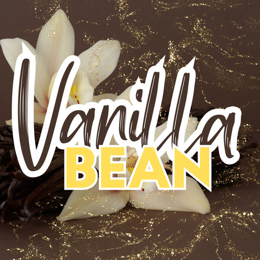 Vanilla Bean Body Cream